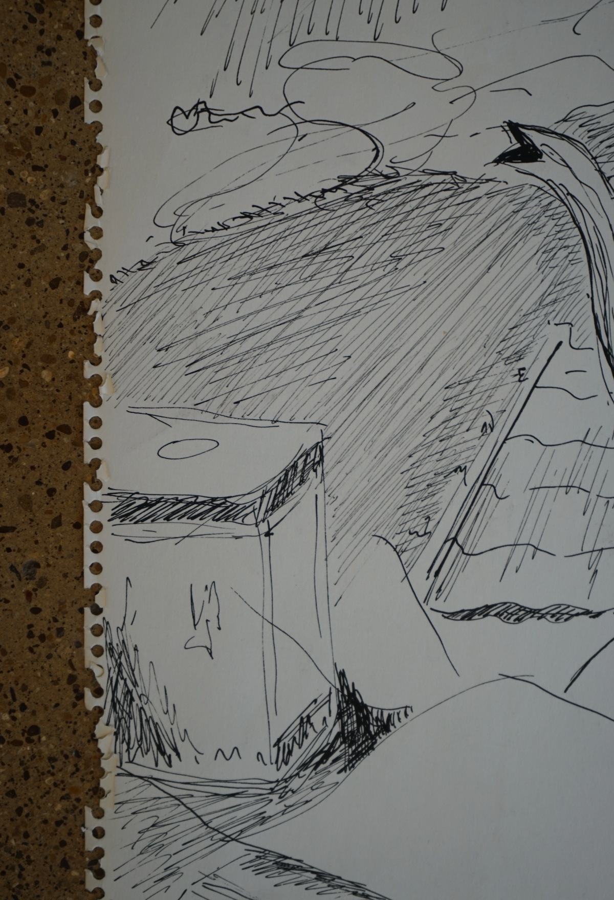 Still Life Drawing; 1960