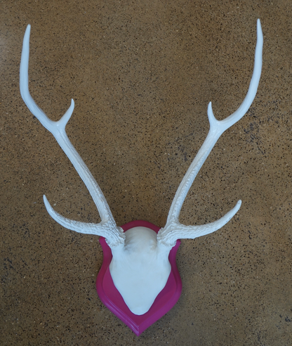 White and Pink Painted Deer Antlers
